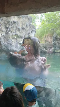 天王寺動物園に投稿された画像（2022/5/14）