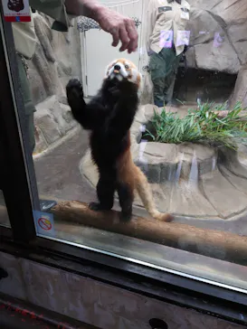 天王寺動物園に投稿された画像（2022/5/14）