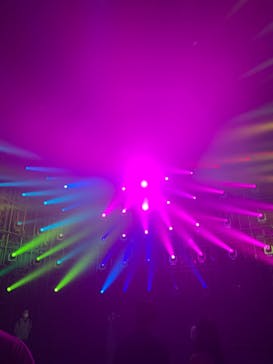 森ビル デジタルアート ミュージアム：エプソン チームラボボーダレスに投稿された画像（2022/5/14）