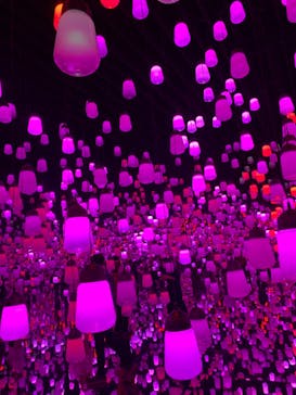 森ビル デジタルアート ミュージアム：エプソン チームラボボーダレスに投稿された画像（2022/5/14）