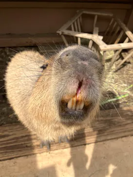 横浜・八景島シーパラダイスに投稿された画像（2022/5/14）