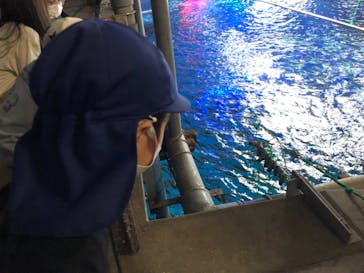 南知多ビーチランド＆南知多おもちゃ王国に投稿された画像（2022/5/14）