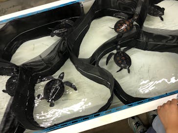 南知多ビーチランド＆南知多おもちゃ王国に投稿された画像（2022/5/14）