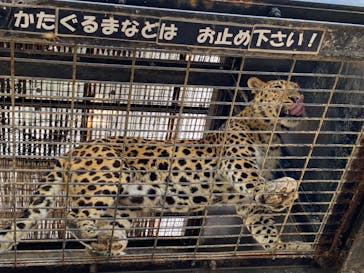 群馬サファリパークに投稿された画像（2022/5/14）