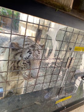 群馬サファリパークに投稿された画像（2022/5/14）