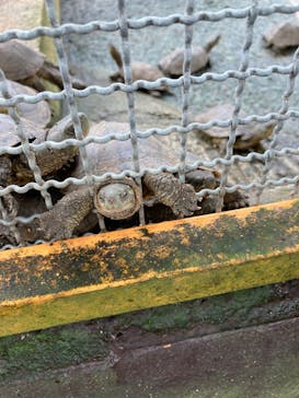 おきなわワールドに投稿された画像（2022/5/14）