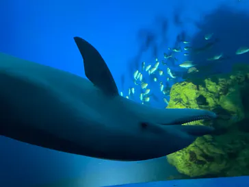 横浜・八景島シーパラダイスに投稿された画像（2022/5/14）