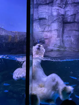 横浜・八景島シーパラダイスに投稿された画像（2022/5/14）