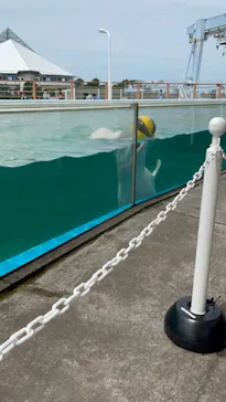 横浜・八景島シーパラダイスに投稿された画像（2022/5/14）