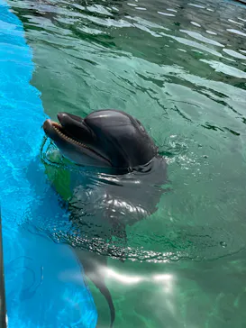 横浜・八景島シーパラダイスに投稿された画像（2022/5/14）