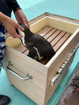 横浜・八景島シーパラダイスに投稿された画像（2022/5/14）