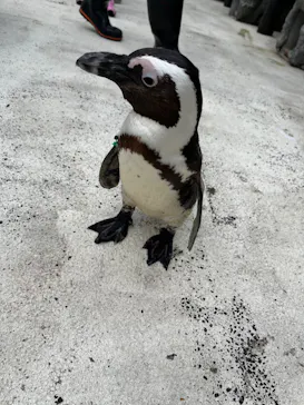 横浜・八景島シーパラダイスに投稿された画像（2022/5/14）