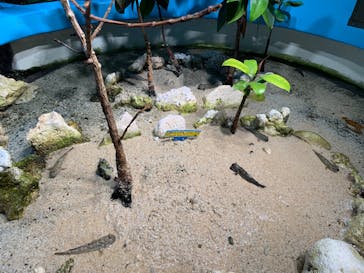 サンシャイン水族館に投稿された画像（2022/5/14）