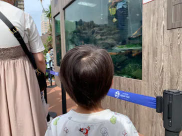 サンシャイン水族館に投稿された画像（2022/5/14）