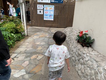 サンシャイン水族館に投稿された画像（2022/5/14）