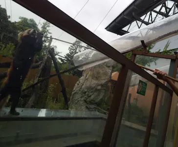 横浜・八景島シーパラダイスに投稿された画像（2022/5/14）