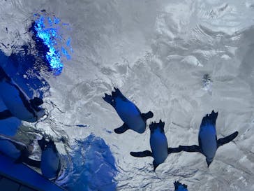 サンシャイン水族館に投稿された画像（2022/5/14）