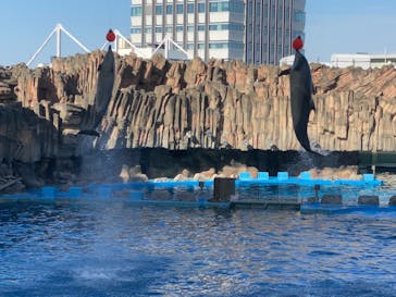 名古屋港水族館に投稿された画像（2022/5/14）