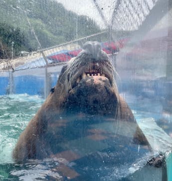 ゼロ距離水族館 伊勢シーパラダイスに投稿された画像（2022/5/14）