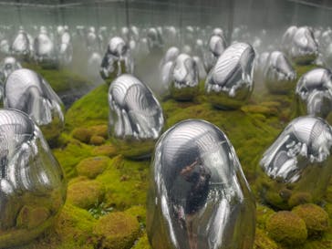 チームラボプラネッツ TOKYO DMMに投稿された画像（2022/5/14）