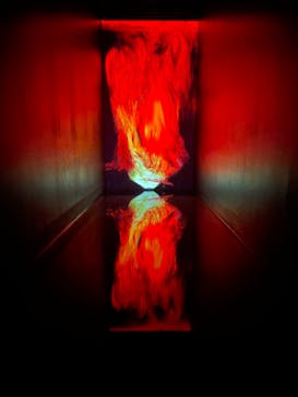 チームラボプラネッツ TOKYO DMMに投稿された画像（2022/5/14）