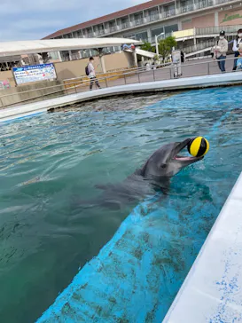 横浜・八景島シーパラダイスに投稿された画像（2022/5/14）