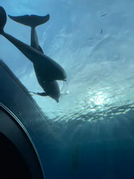 横浜・八景島シーパラダイスに投稿された画像（2022/5/14）