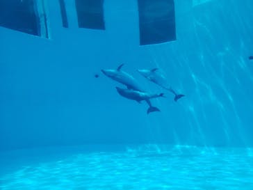 名古屋港水族館に投稿された画像（2022/5/14）