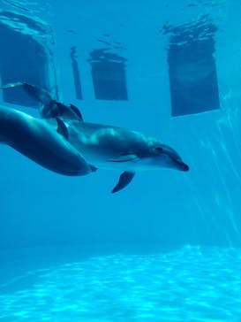 名古屋港水族館に投稿された画像（2022/5/14）