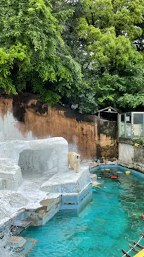 天王寺動物園に投稿された画像（2022/5/14）