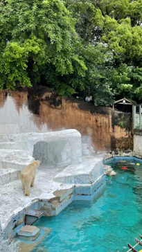 天王寺動物園に投稿された画像（2022/5/14）