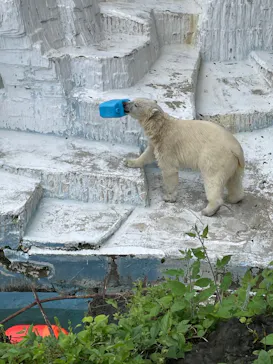 天王寺動物園に投稿された画像（2022/5/14）