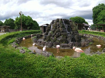 群馬サファリパークに投稿された画像（2022/5/14）