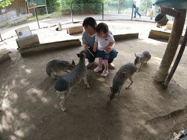 群馬サファリパークに投稿された画像（2022/5/14）