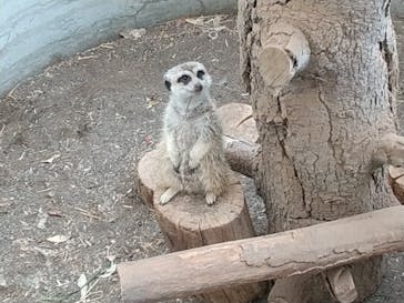 群馬サファリパークに投稿された画像（2022/5/14）