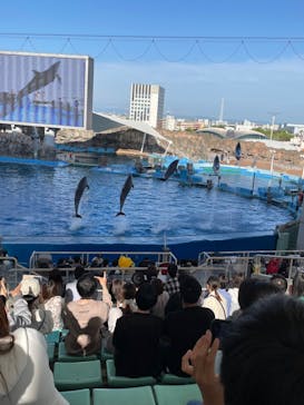 名古屋港水族館に投稿された画像（2022/5/15）