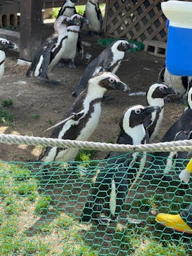 名古屋港水族館に投稿された画像（2022/5/15）