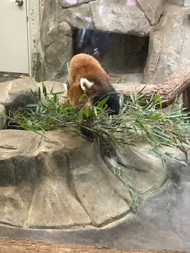 天王寺動物園に投稿された画像（2022/5/15）