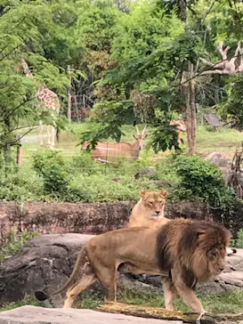 天王寺動物園に投稿された画像（2022/5/15）