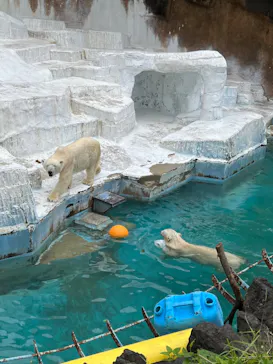 天王寺動物園に投稿された画像（2022/5/15）