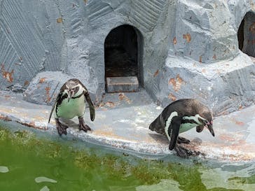 南知多ビーチランド＆南知多おもちゃ王国に投稿された画像（2022/5/15）