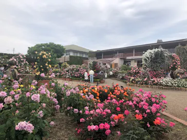 ひらかたパークに投稿された画像（2022/5/15）