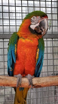 富士花鳥園に投稿された画像（2022/5/15）