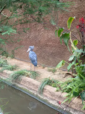 神戸どうぶつ王国に投稿された画像（2022/5/15）