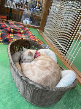 神戸どうぶつ王国に投稿された画像（2022/5/15）