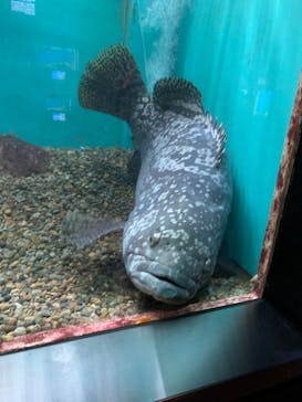 串本海中公園水族館に投稿された画像（2022/5/15）