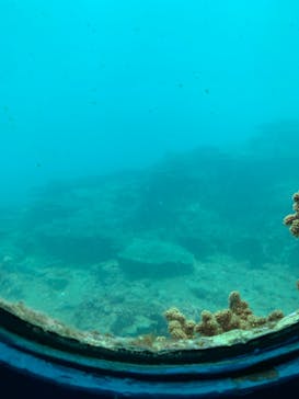 串本海中公園水族館に投稿された画像（2022/5/15）