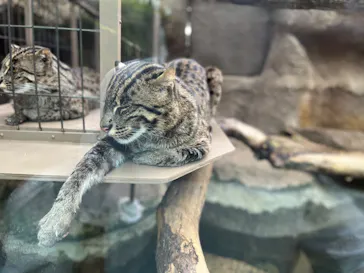 神戸どうぶつ王国に投稿された画像（2022/5/15）