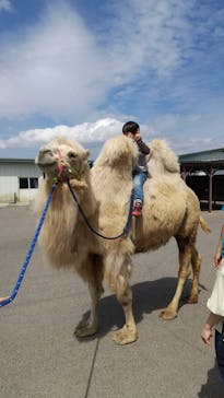 東北サファリパークに投稿された画像（2022/5/15）