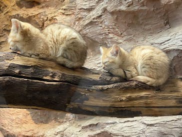 那須どうぶつ王国に投稿された画像（2022/5/15）